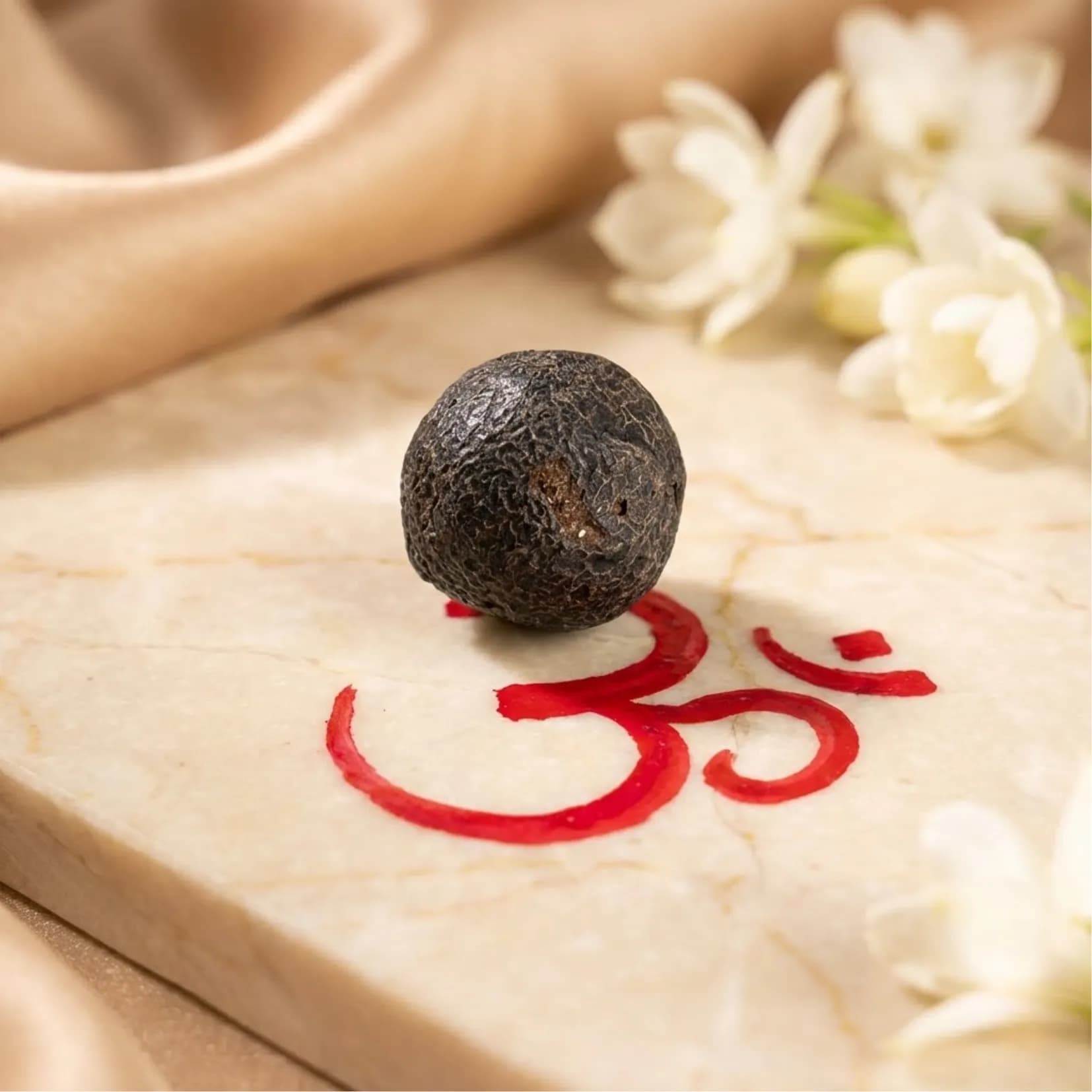 RUDRAKSHA AMRITPHAL - Certified Original Rudraksha Bead