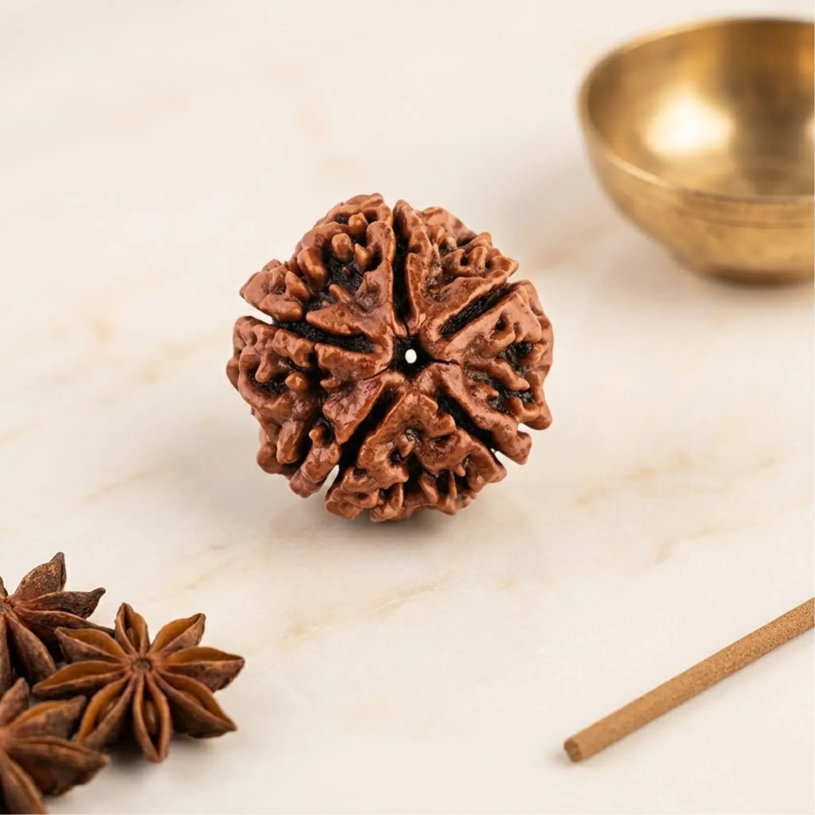 5 Mukhi Rudraksha (Nepali) - Authentic AstroJi Spiritual Product